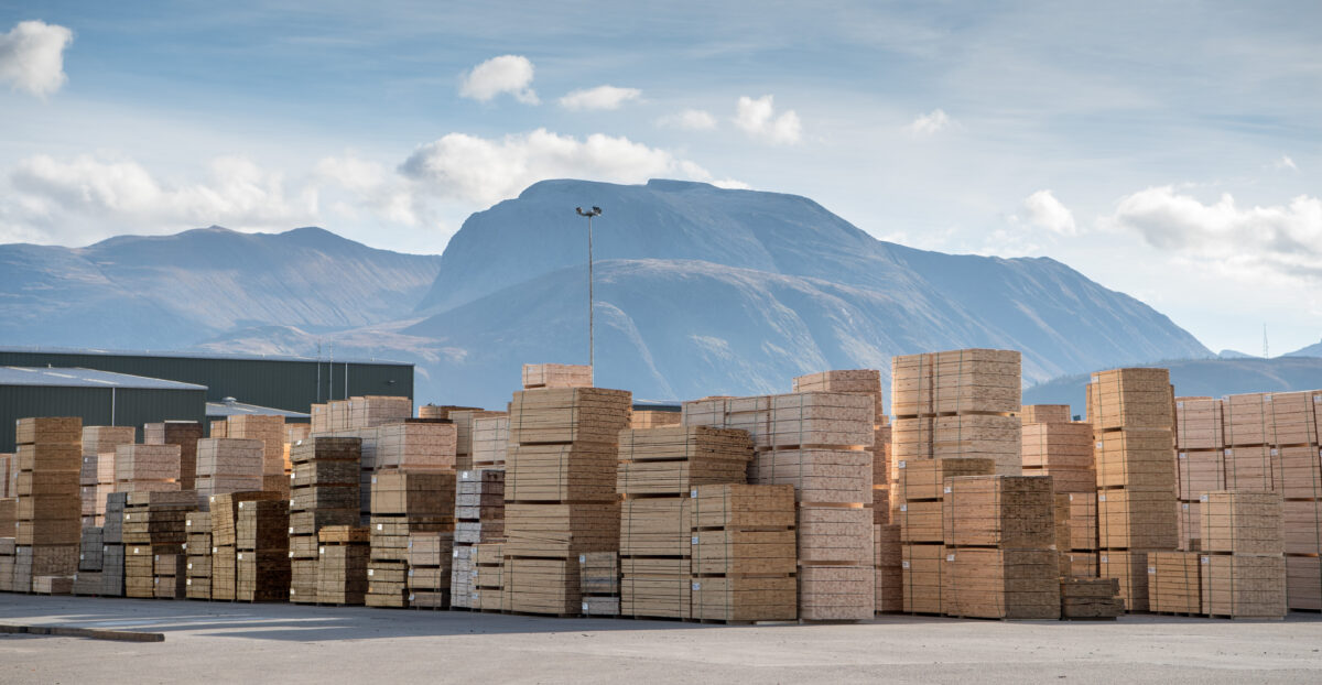 Timber packs. photo courtesy of bsw timber
