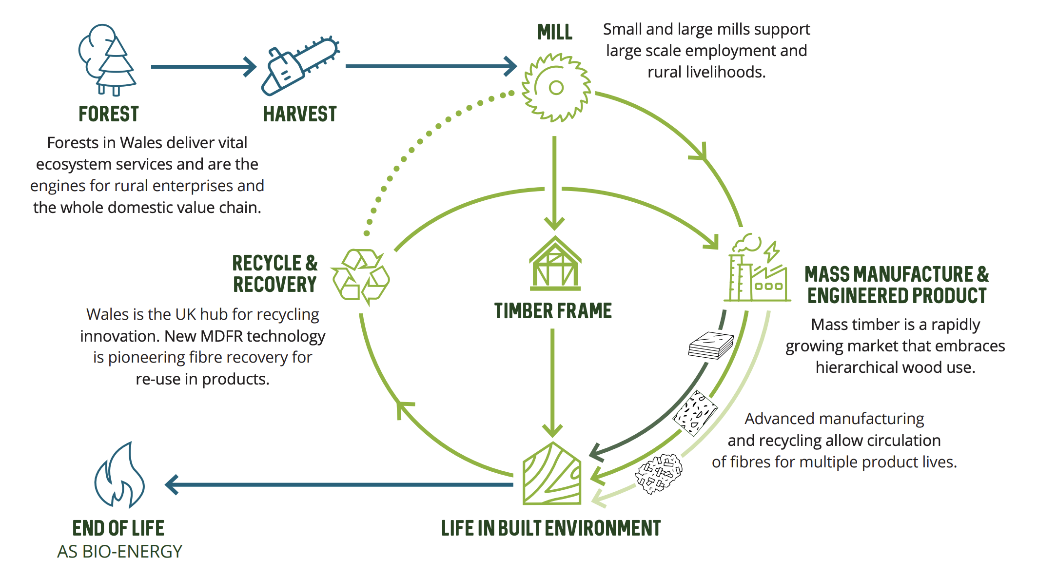 Unlocking value through circular wood use