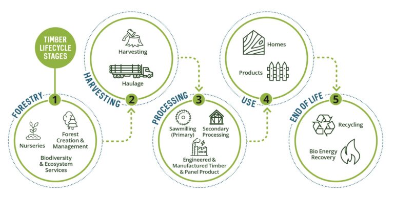 7 knowledge exchange the timber value chain